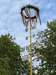 Der Maibaum mit seinen 10 handwerklichen Schildern (die oberen beiden zeigen die Zugehörigkeit zu Niedersachsen und Amt Neuhaus)